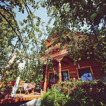 Villa Mietowy Aniol Ustrzyki Dolne Esterno foto
