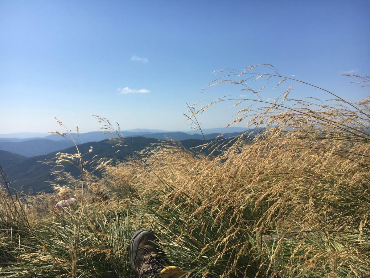 Villa Mietowy Aniol Ustrzyki Dolne Esterno foto