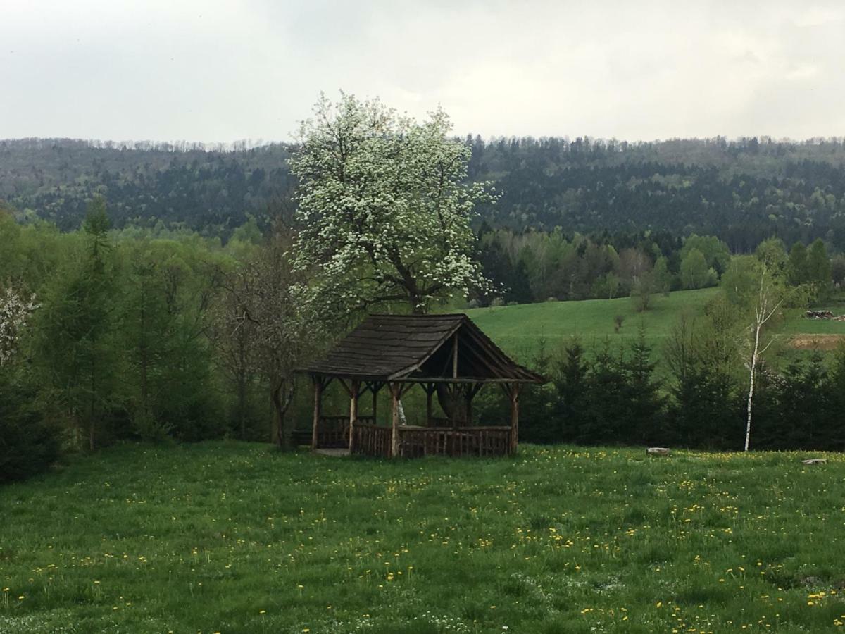 Villa Mietowy Aniol Ustrzyki Dolne Esterno foto