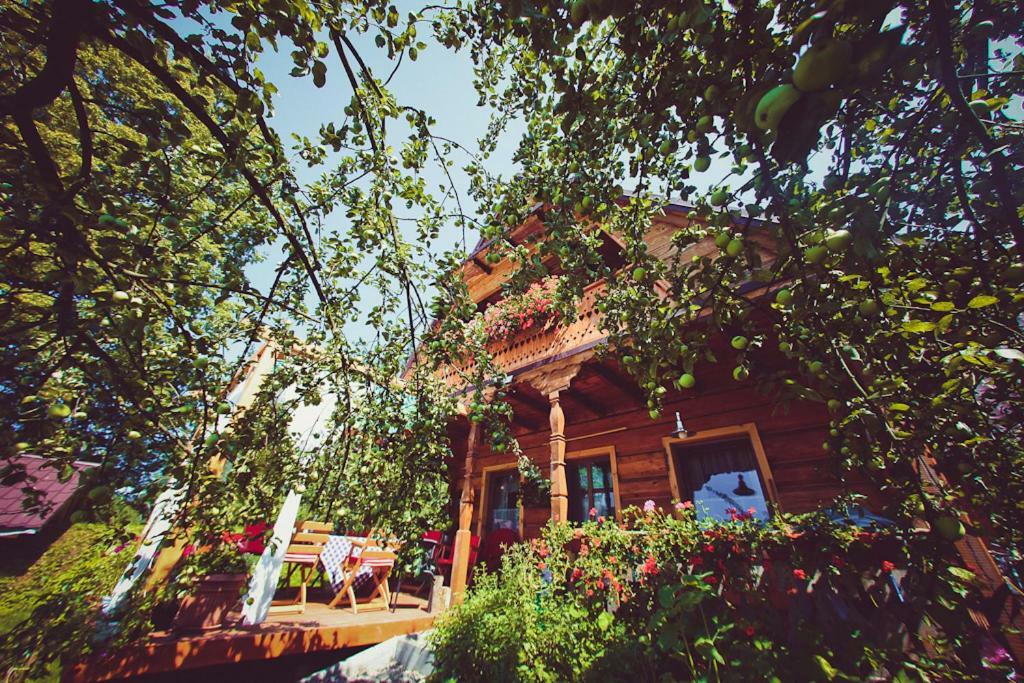 Villa Mietowy Aniol Ustrzyki Dolne Esterno foto
