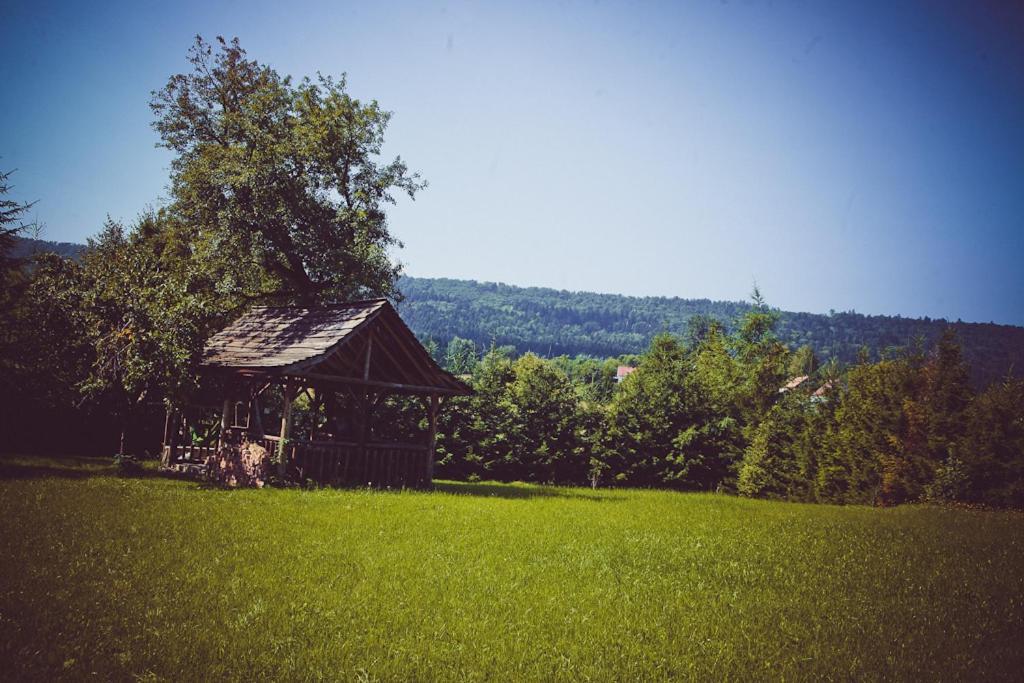Villa Mietowy Aniol Ustrzyki Dolne Esterno foto